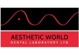 Aesthethetic-World1